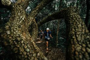 BIB: 
                            <button type="button" onclick="openModal(25701609)" class="btn btn-primary btn-sm float-right btn-popup" data-toggle="modal" data-target=".modal-high-quality">
                        <i class="fas fa-shopping-cart"></i> Add to Cart
                    </button>
                                            <button type="button" onclick="isThisMe(25701609, true)" class="btn btn-success btn-sm float-right btn-popup btn-isme hidden" data-toggle="tooltip" data-placement="bottom" title="นี่คือรูปของคุณใช่ไหม คลิกที่นี่เพื่อเอาเข้าอัลบั้ม">
                        <i class="fas fa-plus"></i> Add to album
                    </button>
                    <button type="button" onclick="isThisMe(25701609, false)" class="btn btn-warning btn-sm float-right btn-popup btn-isnotme hidden">
                        <i class="fas fa-ban"></i> Remove from album
                    </button>